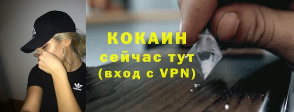 дживик Саяногорск