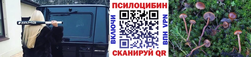 купить закладку  Билибино  Псилоцибиновые грибы MAGIC MUSHROOMS 